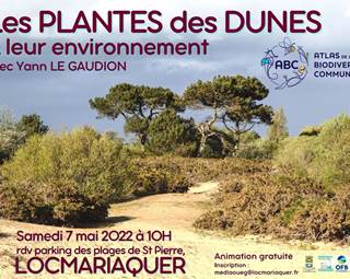 sortie-pnr-locmariaquer-plantes-des-dunes-et-leur-environnement-morbihan-bretagne ©